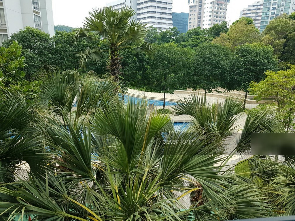The Sea View (D15), Condominium #127112282